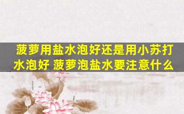 菠萝用盐水泡好还是用小苏打水泡好 菠萝泡盐水要注意什么